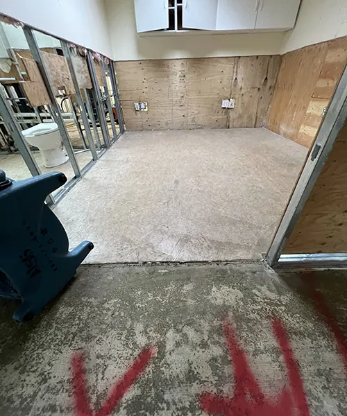 Mastic Removal in Lynnwood 